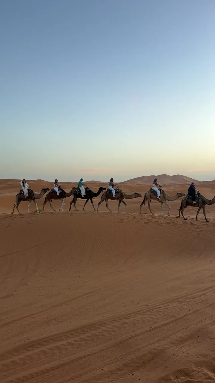 Camel caravan crossing the orange dunes of Erg Chebbi near Merzouga at sunset