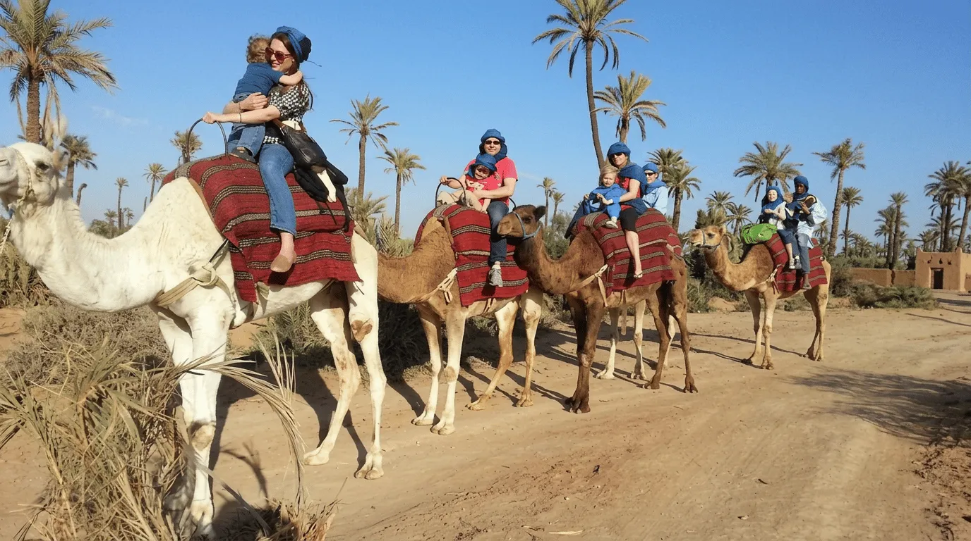 A camel handler leading a caravan across the sand