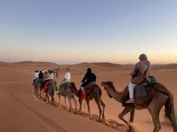 Photo from the Google review of Rachid Rachid